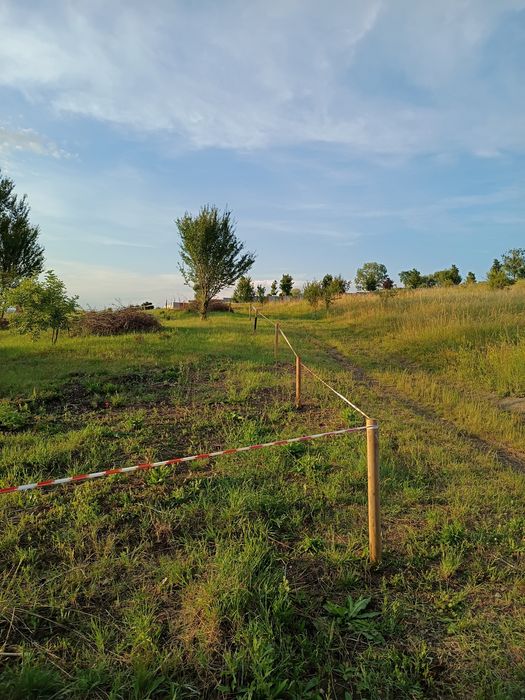 Dau in chirie teren intrav cluj n-  Sopor 1750mp