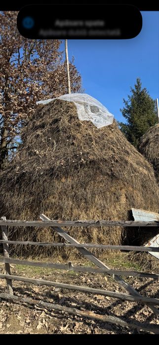 Vând otavă foarte bună