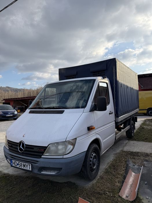 Mercedes sprinter 313 transport animale