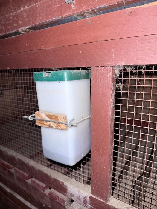 Adapatori Apa Iepuri