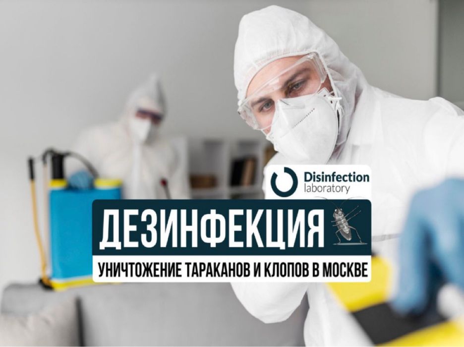 Дезинфекция кандала постельный клоп тараканы муравьи крысы мышь блох