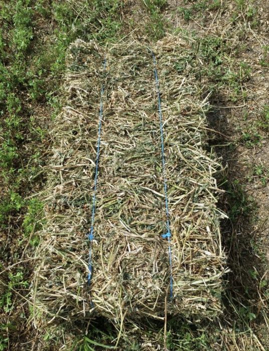 Baloti Lucerna 20-25 lei