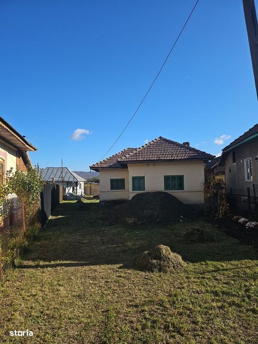 Casa / Teren pana la Olt / Raureni /