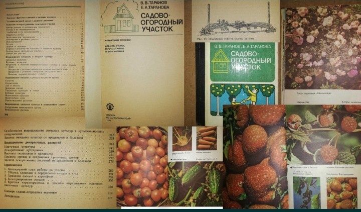 Цветоводство. Кактусы. Грибы.