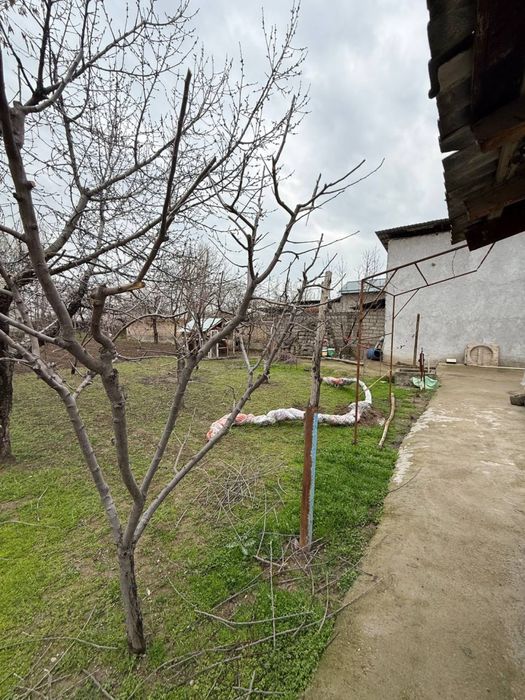 Продам землю Чингелди Парк новый узбекистан чингелли Аранча махаля