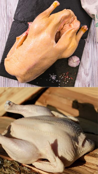 Пролам мясо домашней птицы