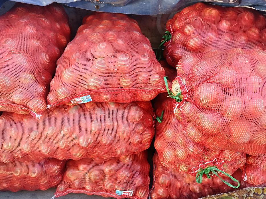 Продам лук репчатый местный