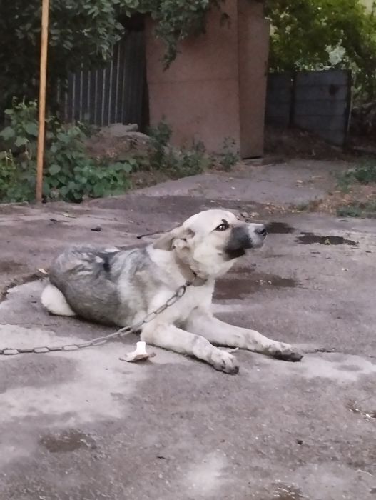 Ничего особенного