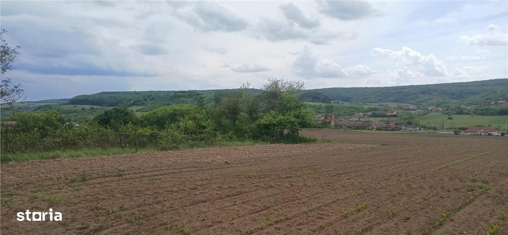 RECO Teren intravilan Hidiselul de Jos langa padure