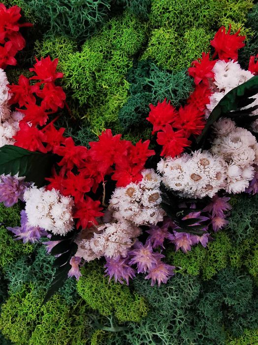 Tablou Unicat din Licheni si Plante Stabilizate, Handmade, 45x35 cm