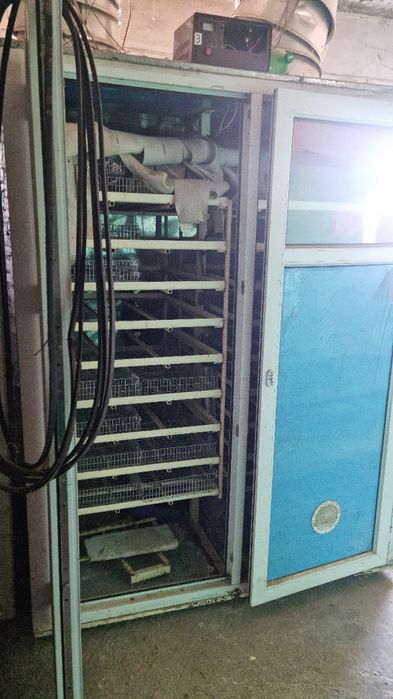 Инкубатор на 3500 штук яйца