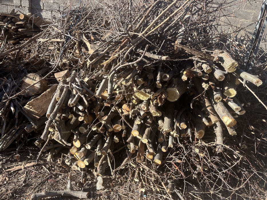 Utin shoxla sotiladi