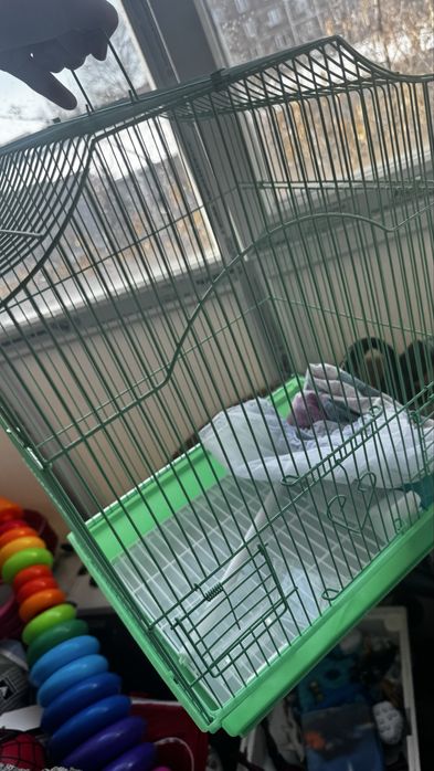 Клетка для попугая