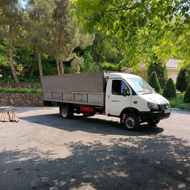 Gazel bort tendli