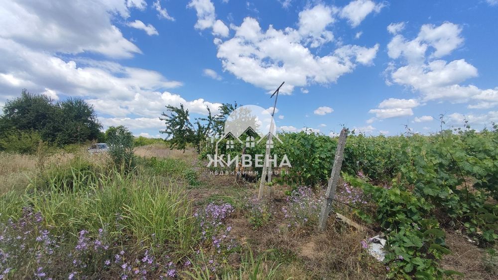 Парцел / лозе в м-т Боровец /Кантара/ Гергин чешма, площ 2925 кв.м