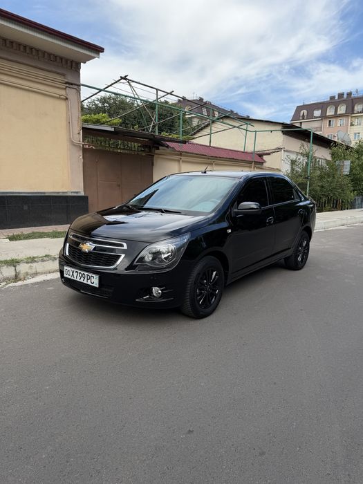 Kobild 2025 yil 3000 km yurgan midnayd