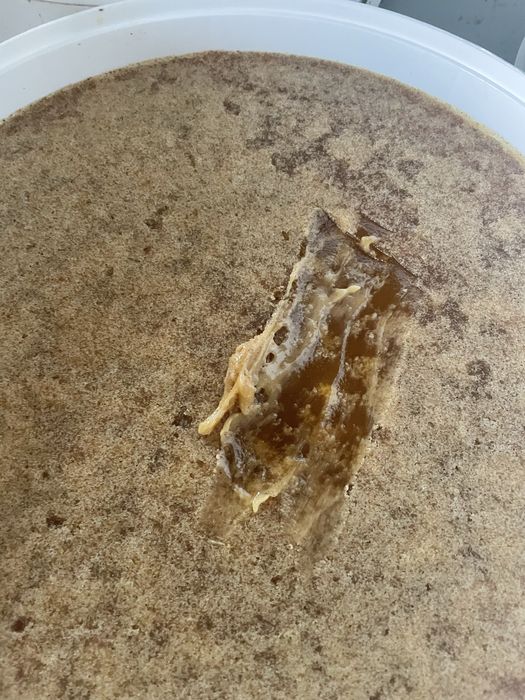 Miere poliflora cu mană