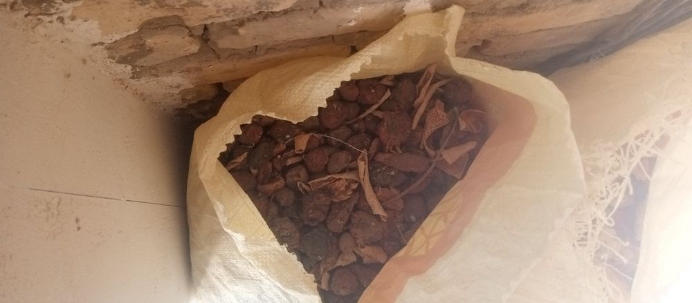 Asalomu aleykum Em hashak ut