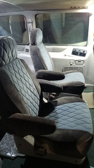 Продам рабочего мустанга