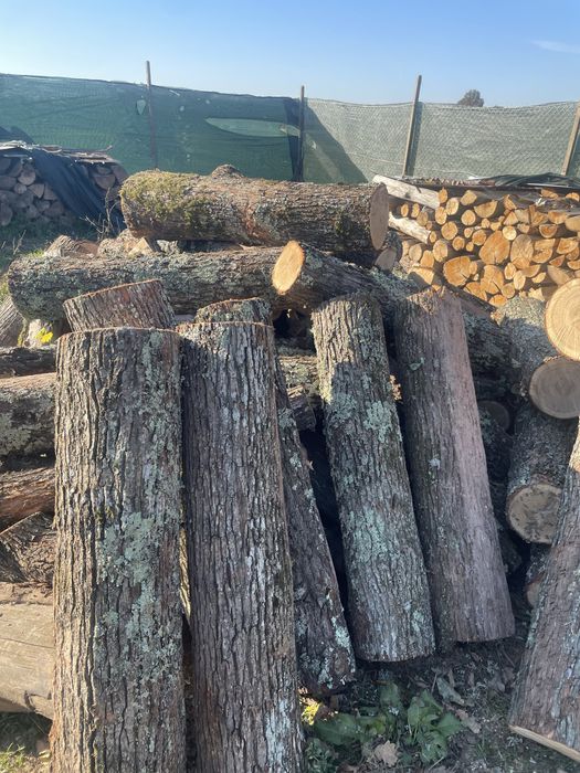 ‼️SC‼️Depozit autorizat comercializăm lemne de foc esențe tarii‼️