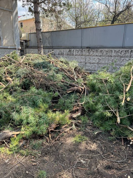 Дрова. Самовывоз