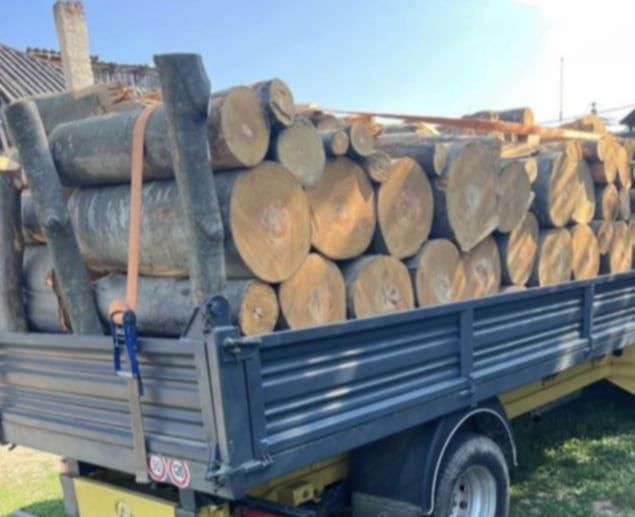 Lemne  de foc  esență  tare  fag cer carpen