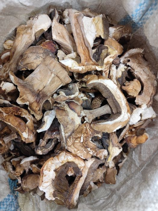 Грибы сухие ( БОРОВИК )