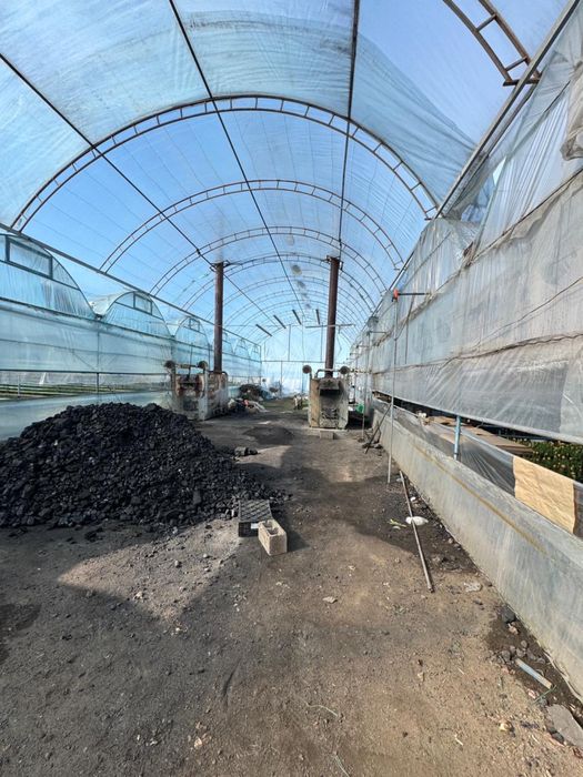 Дайын жылыжай бизнесі сатылады!