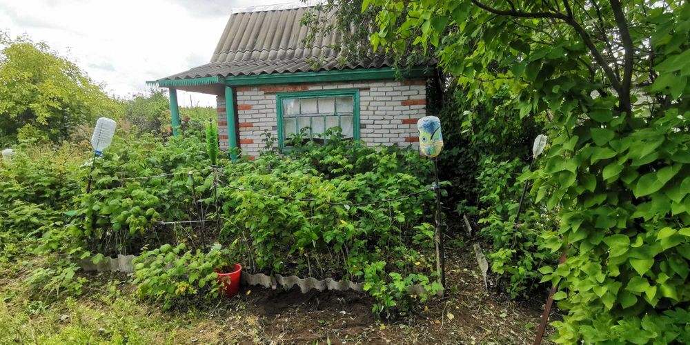 Дача Мелиоратор 4ул приватизирована