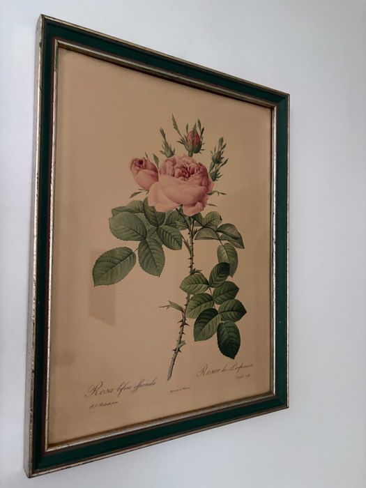 printul oficial La Redoute trandafir roz secolului 19 inramat