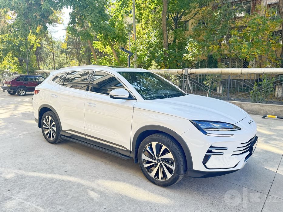 Byd champion 2024 gibrit 150 talik sotiladi
