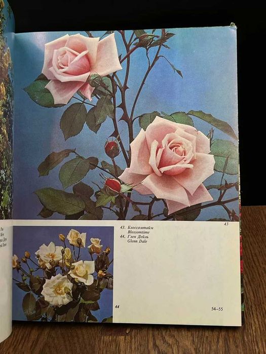 Букинистическая книга Розарий главного Ботан.сада Академии наук СССР.