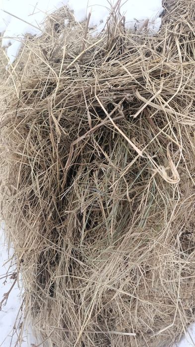 Сено в тюкан,на продажу