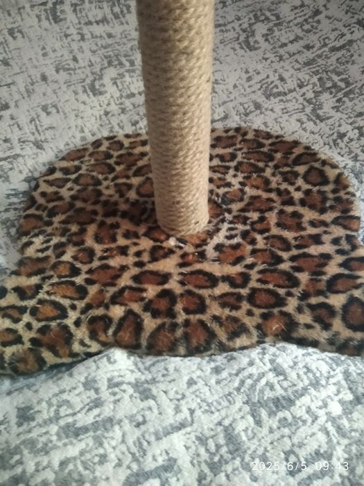 Когтеточка для кошек