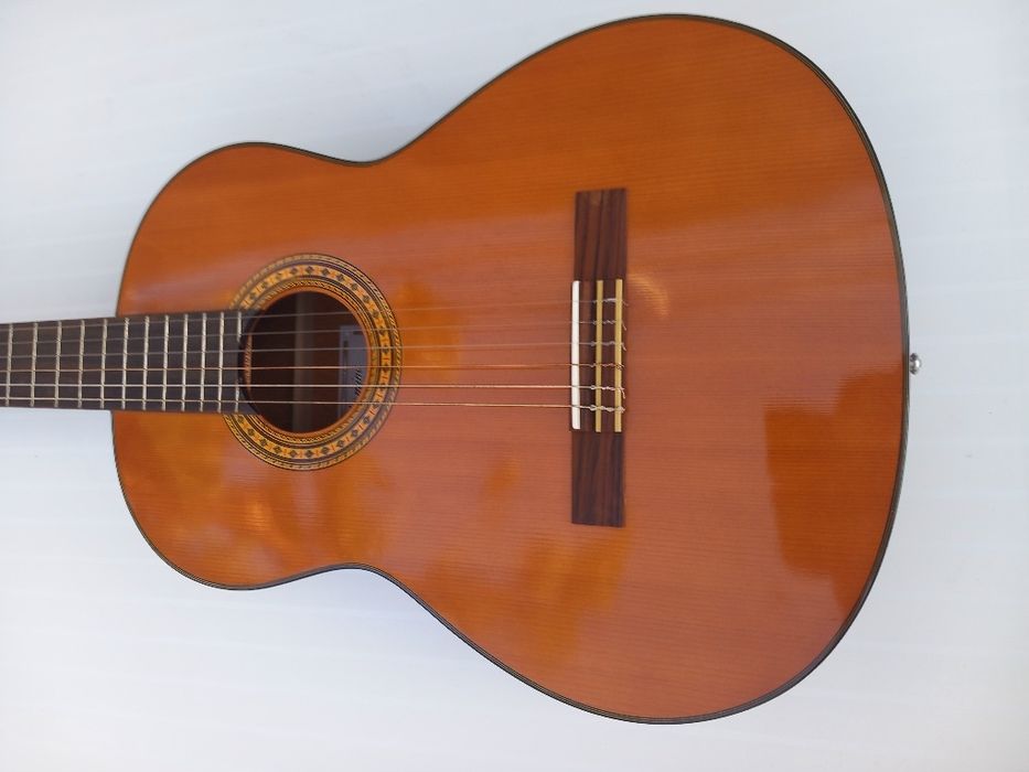 Chitara Takamine G-116