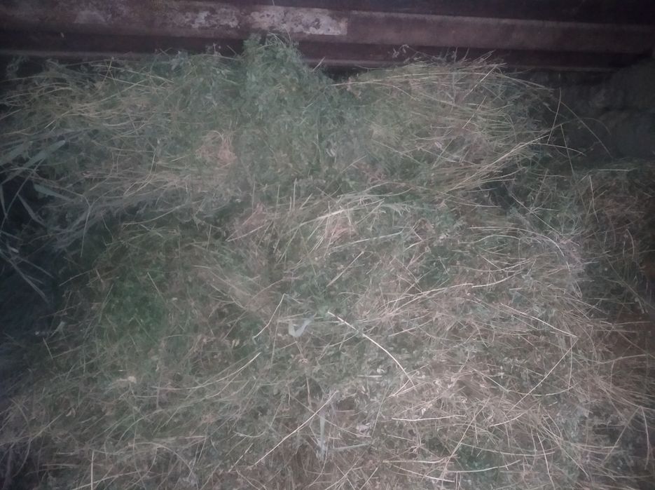 Beda boğ sotamiz kelishtiramiz