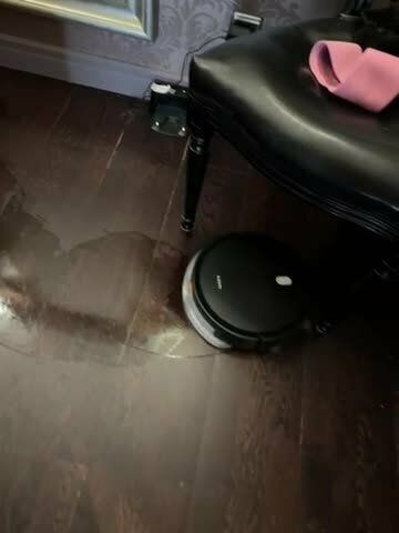 Моющий робот-пылесос Xiaomi Robot Vacuum E5, белый / EU модель: C108 /