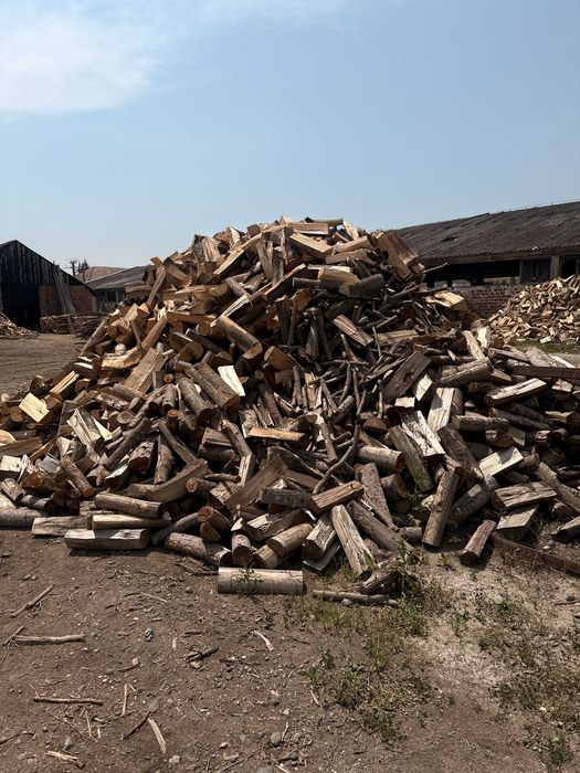 Lemn de foc esență tare – Bistrița și județul Bistrița-Năsăud