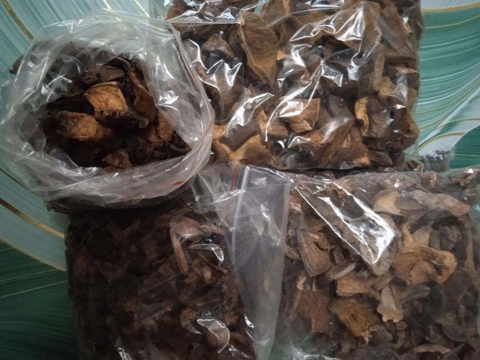 Продам грибы к-т Боровое