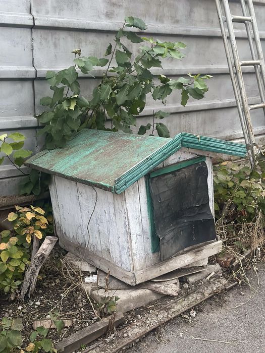 Будка для собаки