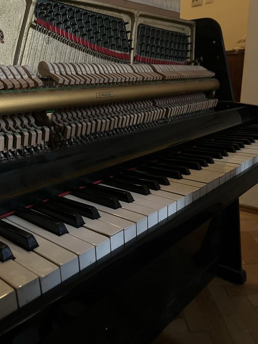 Pianina Doina, functionala