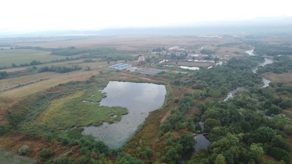 Teren 4,47 ha cu luciu de apă judetul Sibiu DN1/DN1C Cârţișoara Sibiu | Lac | Oportunitate investiție, camping, pescuit sau agrement.