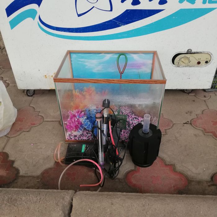 Аквариум средний обмен