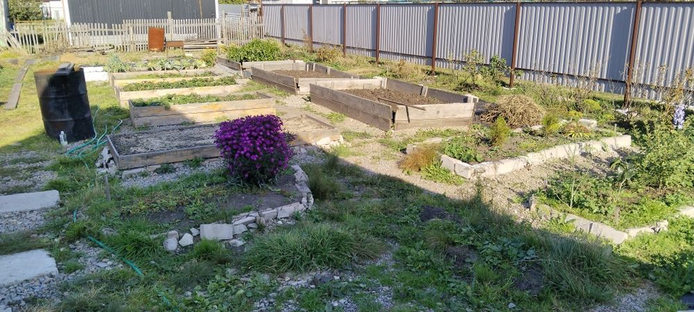 Продам дачу в Новопавловке