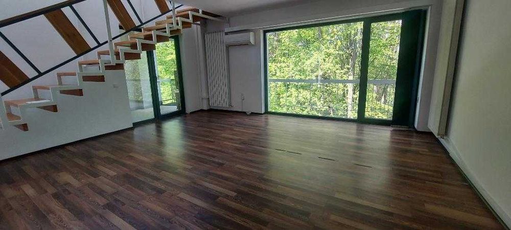 Dau in chirie spatiu birouri langa Gradina Botanica