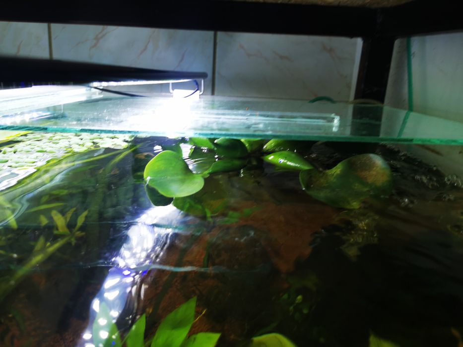 Lampa 60 cm pe Led- lumina puternica