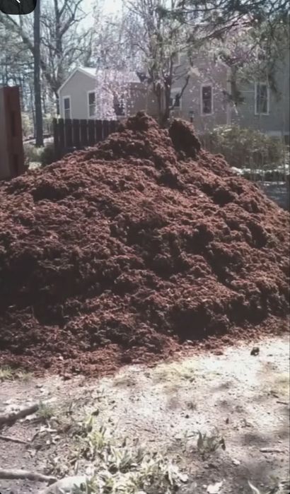 Навоз перегной.        .