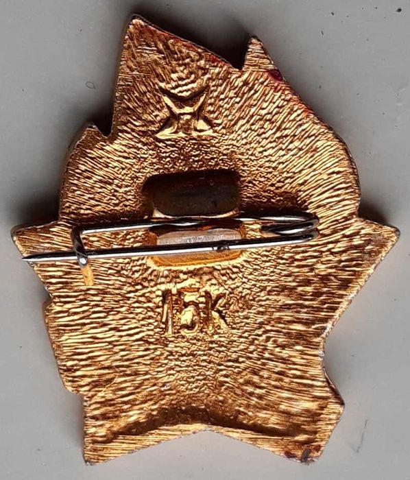 Редовна значка за пионерската организация. 1970-80,ссср