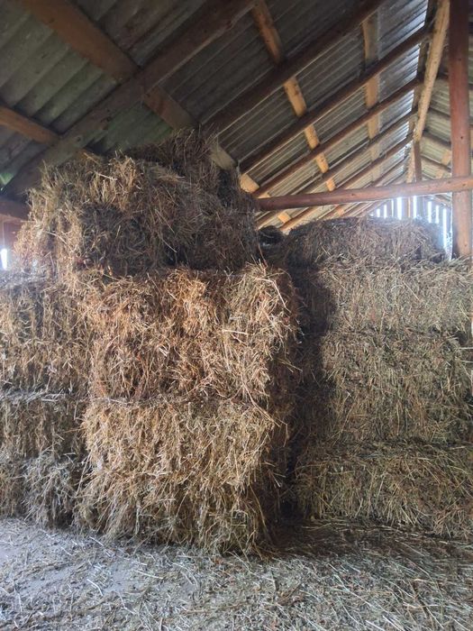 Baloti de lucernă si de fân
