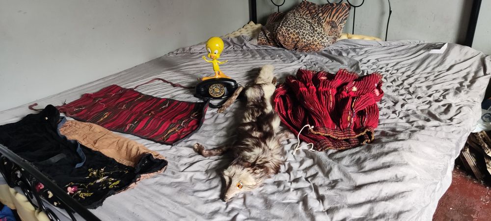 Антикварни неща имат и монети